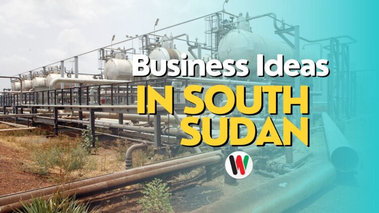 Business Ideas In South Sudan
